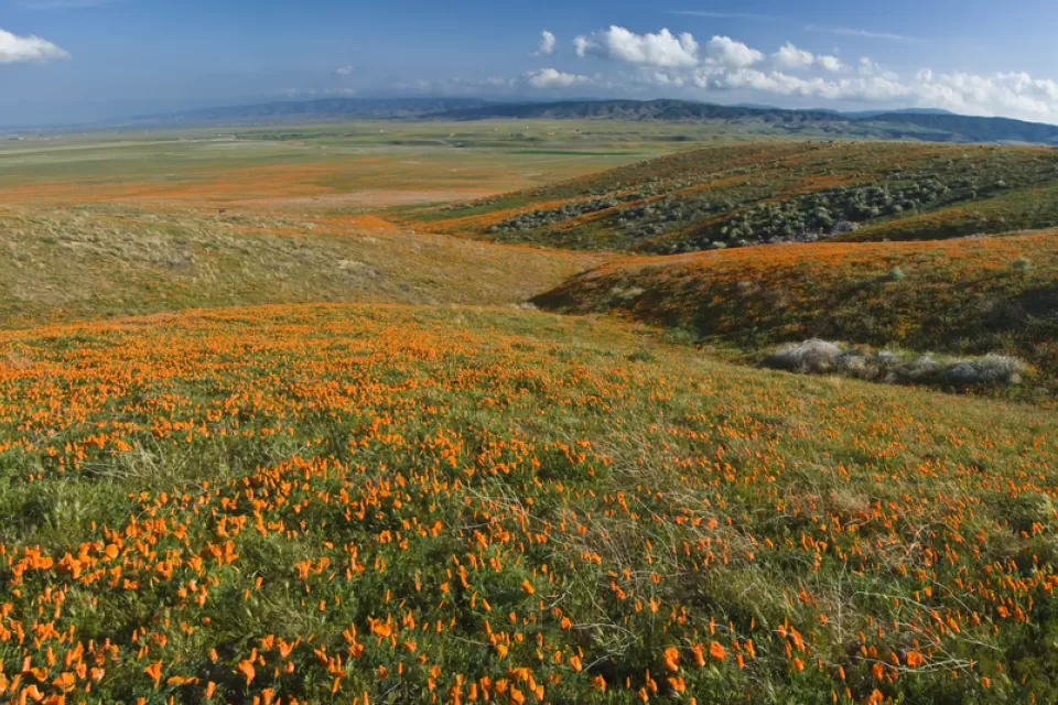 Antelope Valley, California